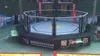 Pro octagon mma cage sale form professional factory