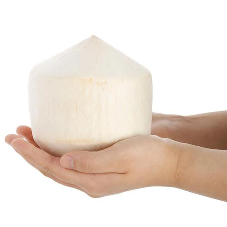 coconut peeling machine 2.jpg