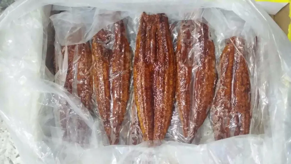 Factory Price High Quality Sushi roasted fresh eel fish frozen