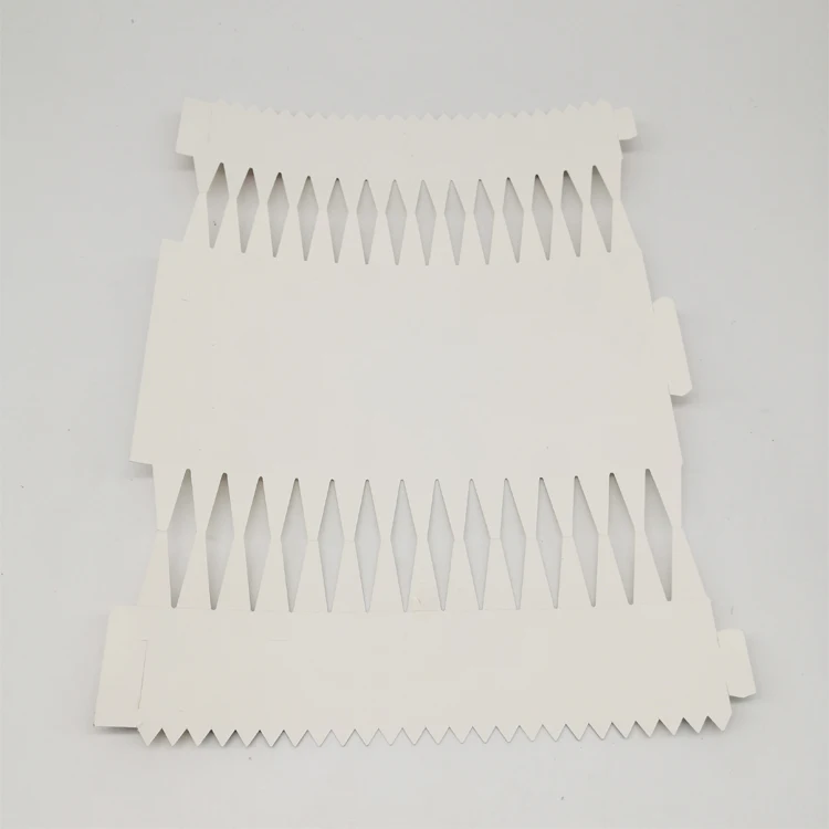 Christmas Cracker Snaps.jpg