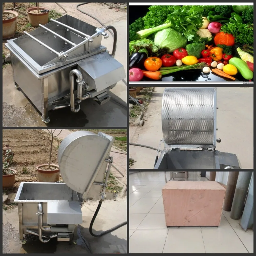 Home Use Small Model Fruit And Vegetable Washing Machine In China Buy