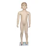 Lifelike Cheap Makeup Head Complexion Child Mannequin Kid Clothing Props Display Stand