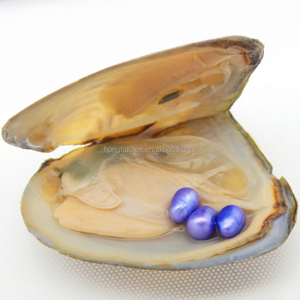 

natural freshwater pearl oysters 3pcs 6-8mm with the same color oval pearls and triangular oyster vacuum packaging free shipping