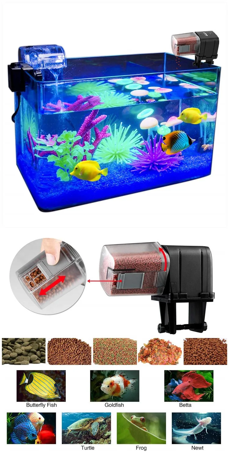 automatic fish feeder for tank with lid