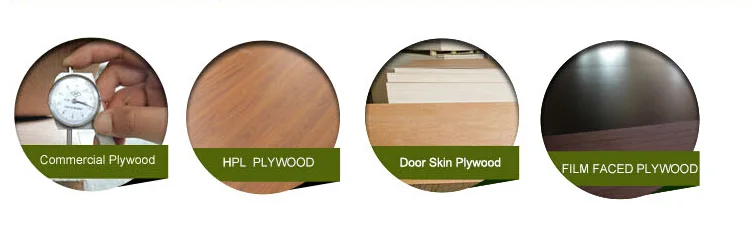 Mackply Industries Pvt Ltd Wooden Flush Doors Plywood Sheets Wooden Flooring Wooden Gift Boxes Wooden Flush Doors In Sri Lanka Wooden Flush Door Sri Lanka Plywood Sheets In