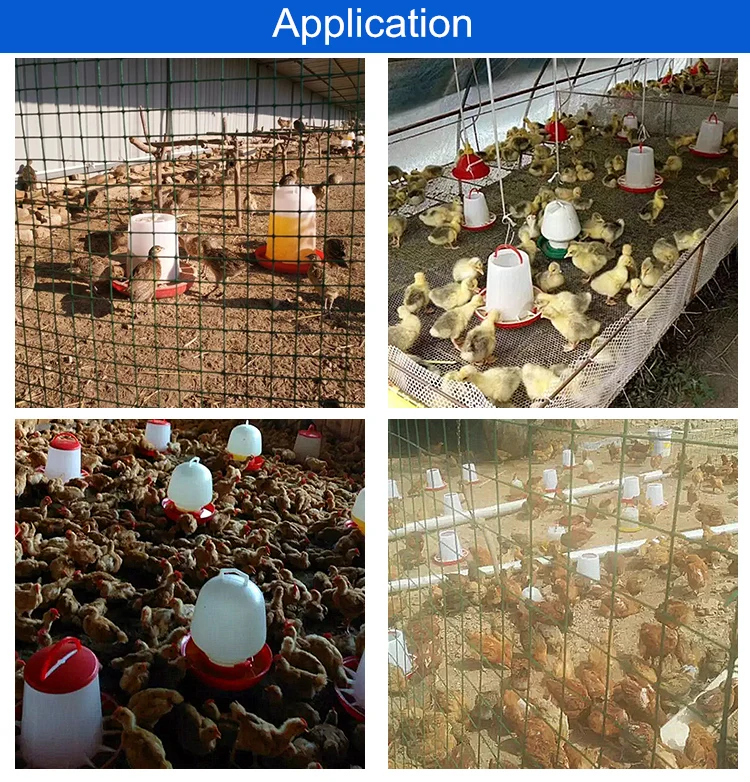 Sihai Wholesale Chicken 2l Feeder Chicken Feed Tray Chicken Feed