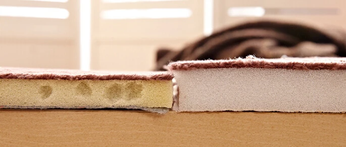 coral velvet middle sponge.jpg