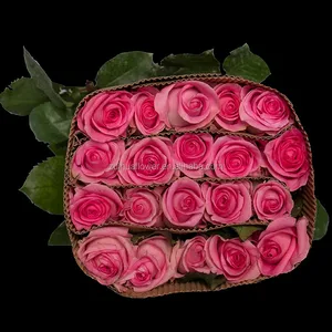 fresh cut rose flowers processing type