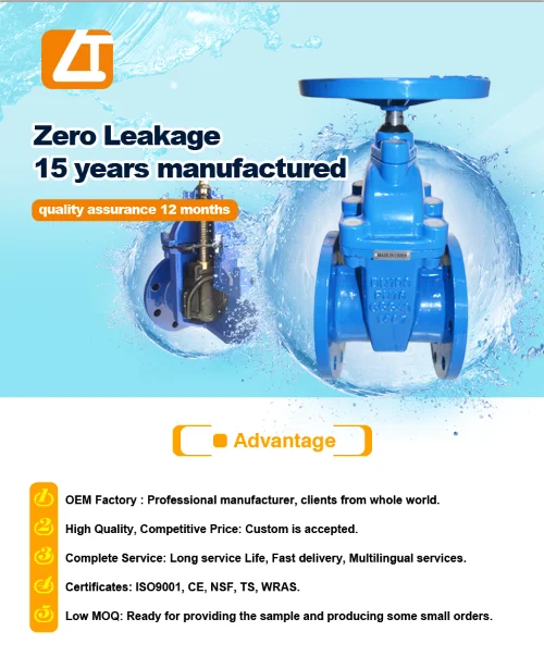 gate valve advantage
