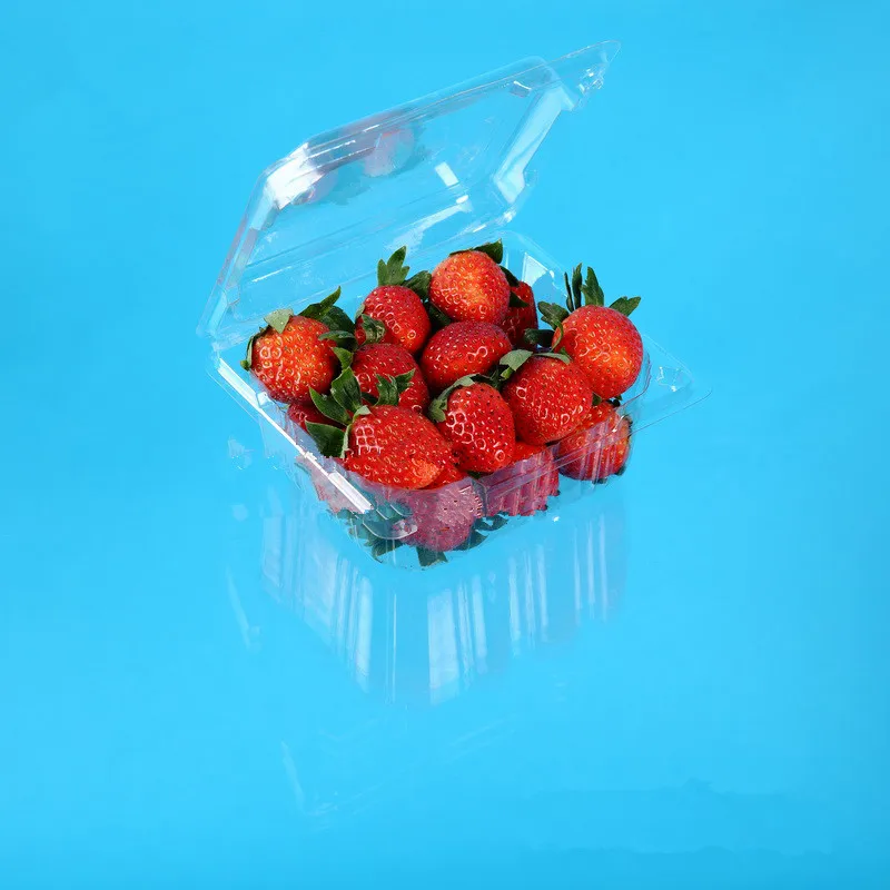Transparent Pet Plastic Strawberry Packaging Container Disposable Clear