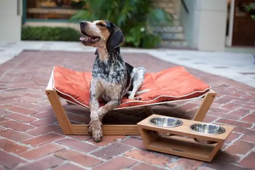 手作りの高級木製ペット犬用ベッド竹ハンモック Buy 高級犬ハンモック ペット犬寝袋ベッド 竹犬のベッド Product On Alibaba Com