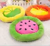 Colorful Fruit Dog Bed