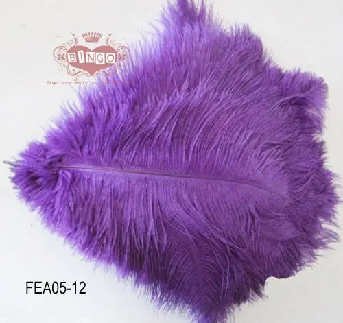 FEA05-12.jpg