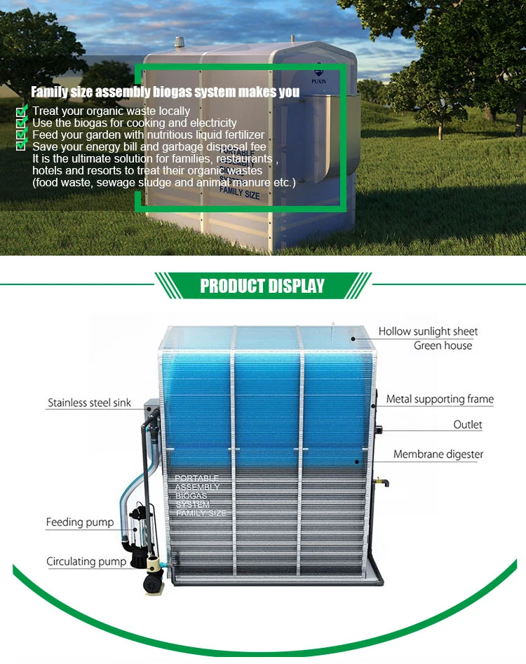 China DIY mini biogas plant to treat food waste recycling machine