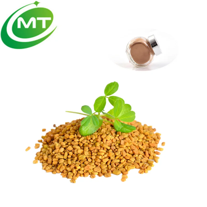 Hot Selling Fenugreek Extract Powder/50 Fenugreek Saponins Trigonella
