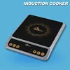 induction and halogen cooker,induction cooker parts