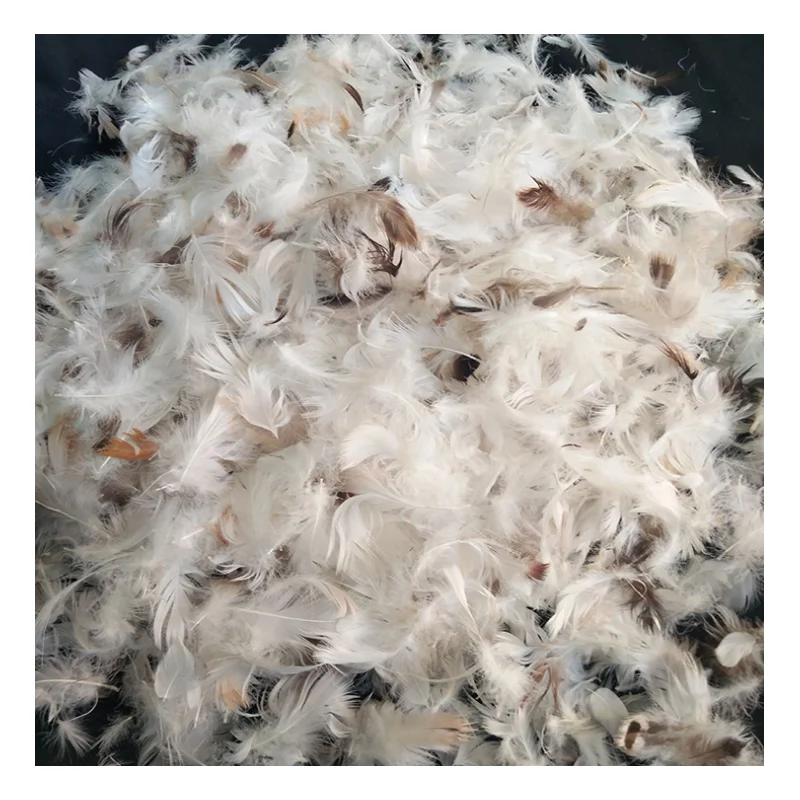 
Wholesale 90% Washed White Duck Down feather Goose Down Feather 