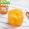 Orange canned mandarin orange segments