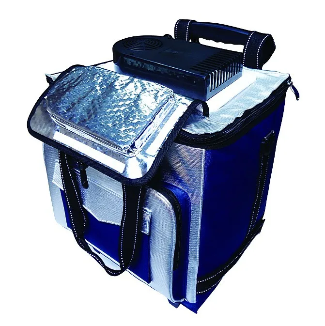 cooler bag 12v