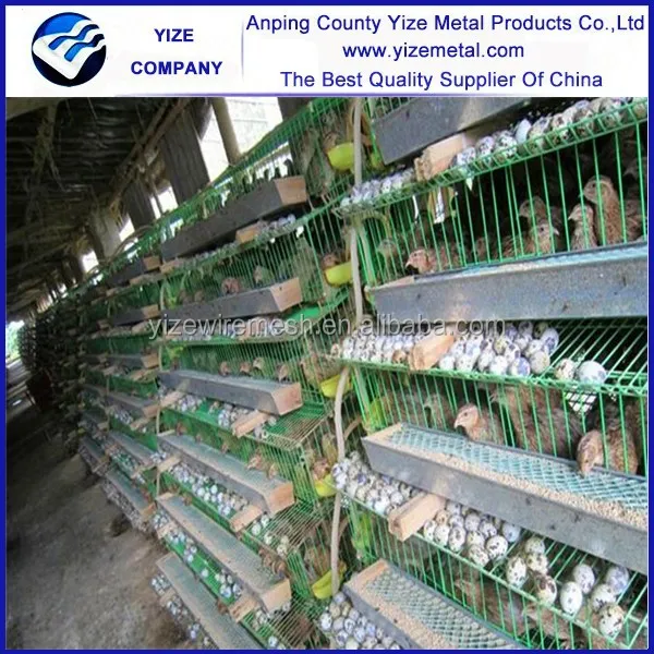 Used Poultry Equipment Quail Battery Cages For Sale China H Type,Welded Cage Electric Galvanized