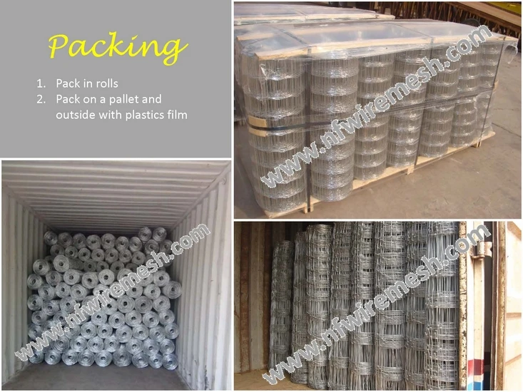 cattle fence (9).jpg