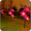 TOPREX CE&RHOS outdoor red dwarf ornamental cherry tree for decor