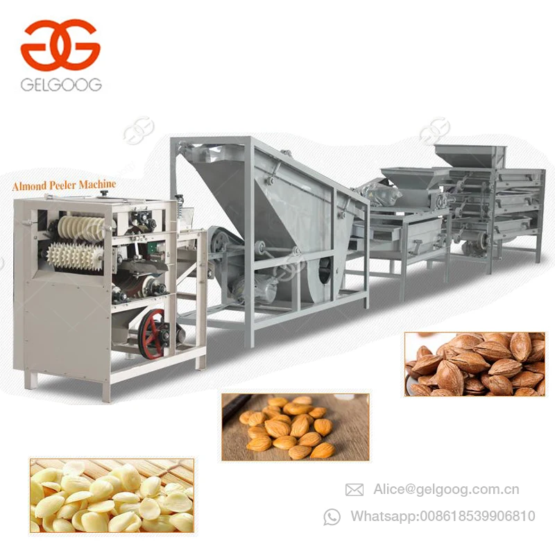 Automatic Small Nut Crusher Hazelnut Cracker Pistachio Breaking Processing Crushing Palm Huller