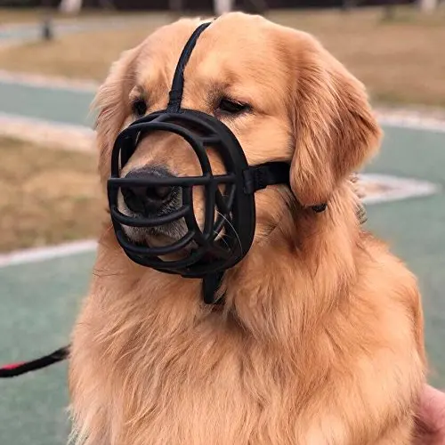 dog muzzle price