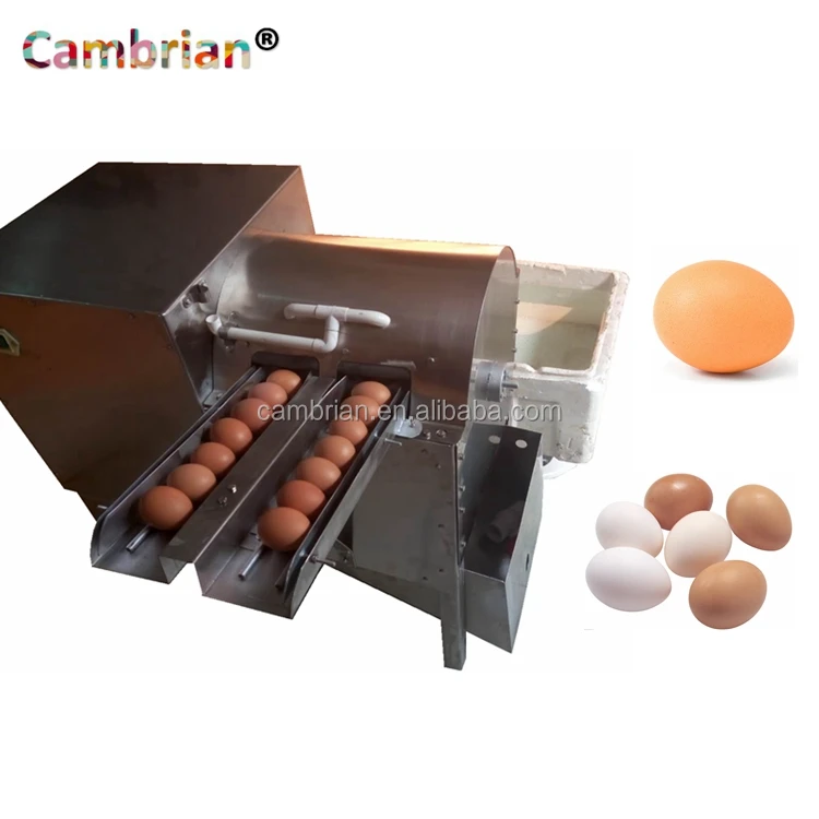 Automatic Egg Washer Egg Salted Duck Egg Goose Egg Cleaning Machine Poultry  Farm Equipment