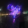 2019 hottest sale Valentine's Day Bubble Balloons Round Confetti Feather Led Light Bobo Balloons
