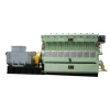 500-600RPM Low Speed Water Cooled Engine 300 Series 800KW LPG Generator Set