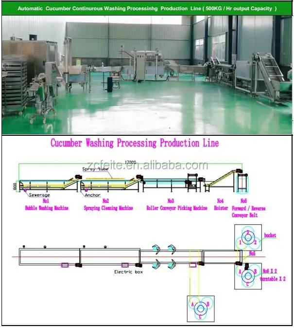 cucumber processing line.jpg