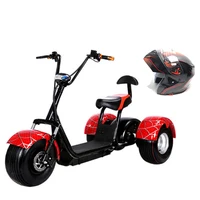 

3 Wheel Electric Scooter For Adult Eec Standard 1200W