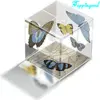 Beautiful Butterfly Crystal Cube Shape Printed Paperweight