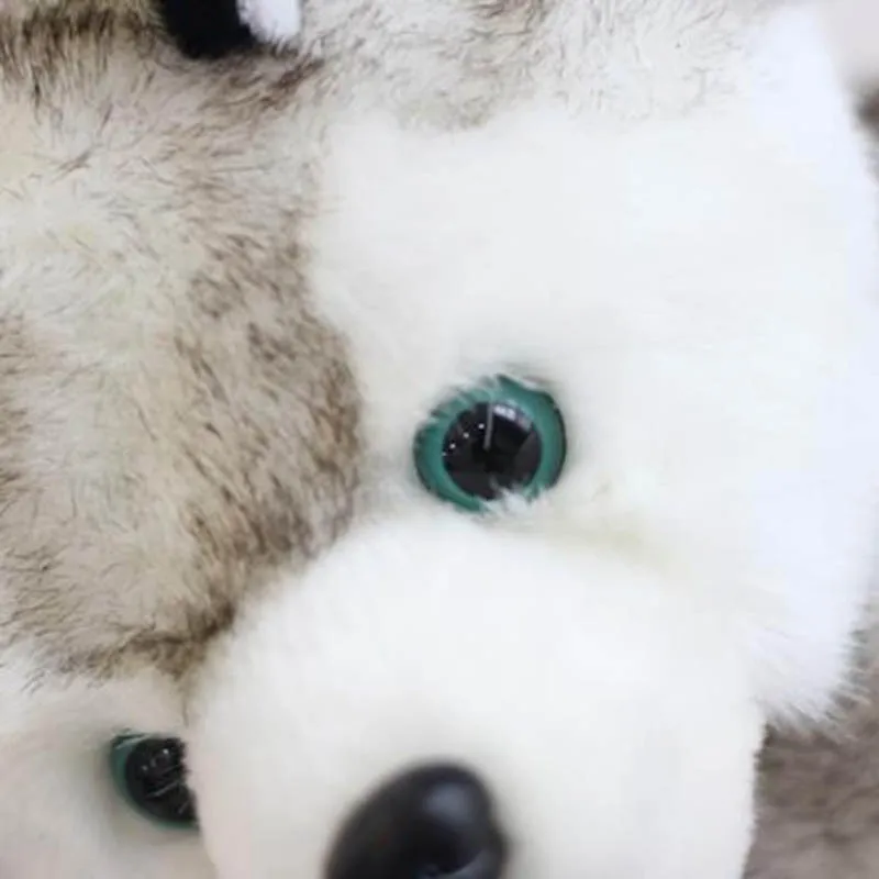 white husky plush toy