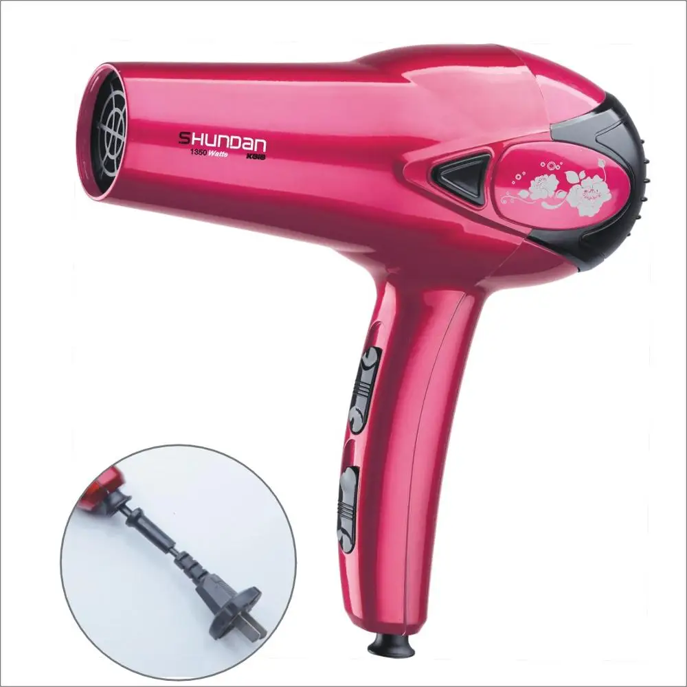 Best Professional Cordless Rechargeable Large Wind Salon Hair Dryer