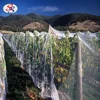 Pond Garden Vineyards HDPE bird netting