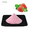 100% Natural Strawberry Flavour/ Flavor Powder Concentrated Strawberry Juice Powder Organic Bulk Strawberry Powder