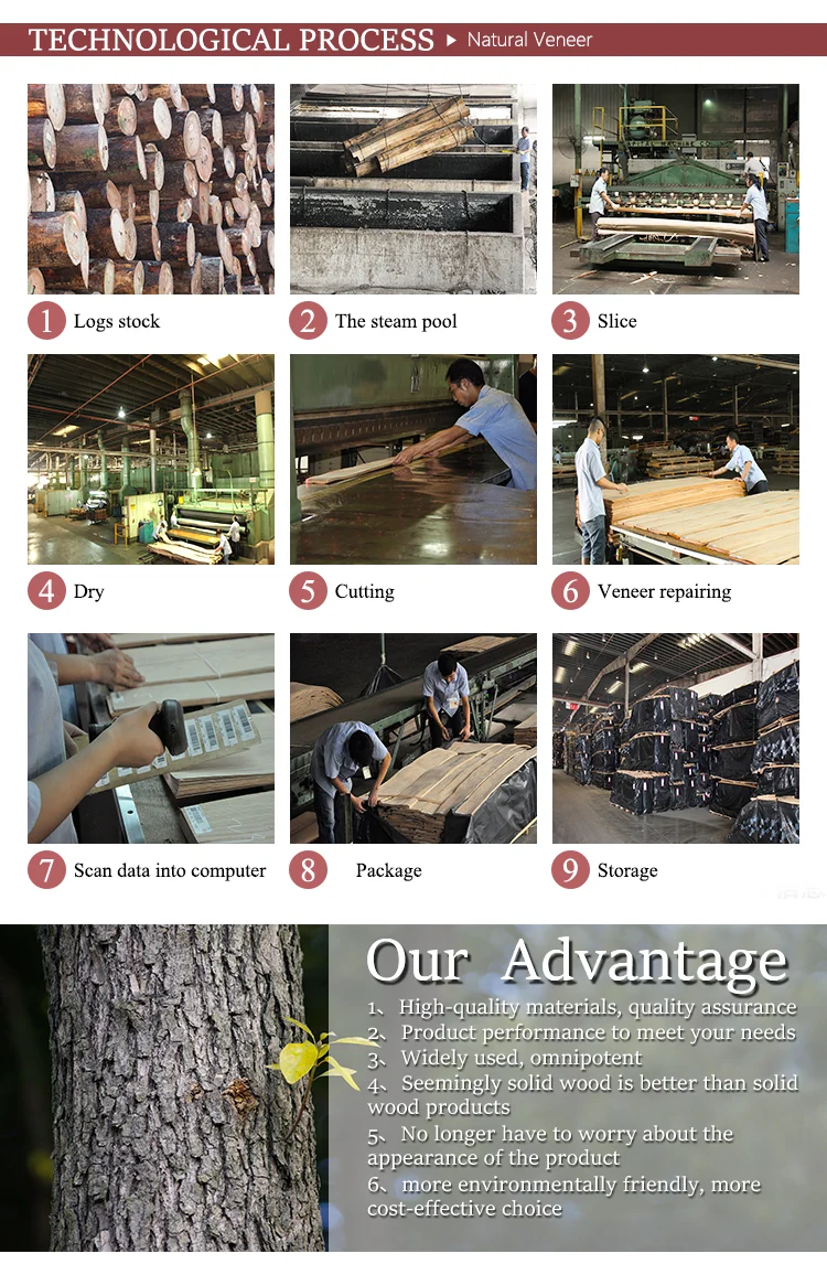 Loyalwood Factory Supply Rotary Cut White Ash Burl Veneer Natural Wood Face Veneer For Plywood