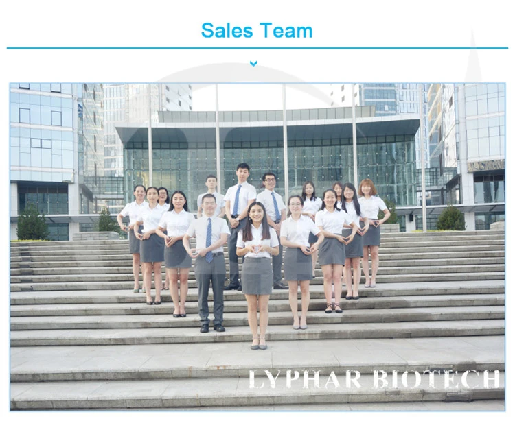 Sales Team_