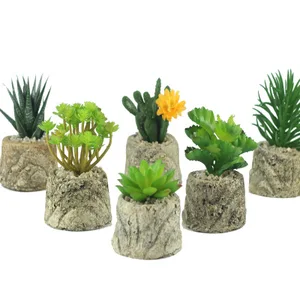 Image of CYSHMILY Pine needles Milan grass succulents Mini simulation plants potted artificial flowers Cactus meaty bonsai ornaments