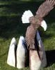 /product-detail/eagle-soaring-ii-sculpture-244102821.html