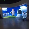 China Digitizer Assembly curved flexible HD LED Screen p3 rental curtain for indoor shopping mall concert