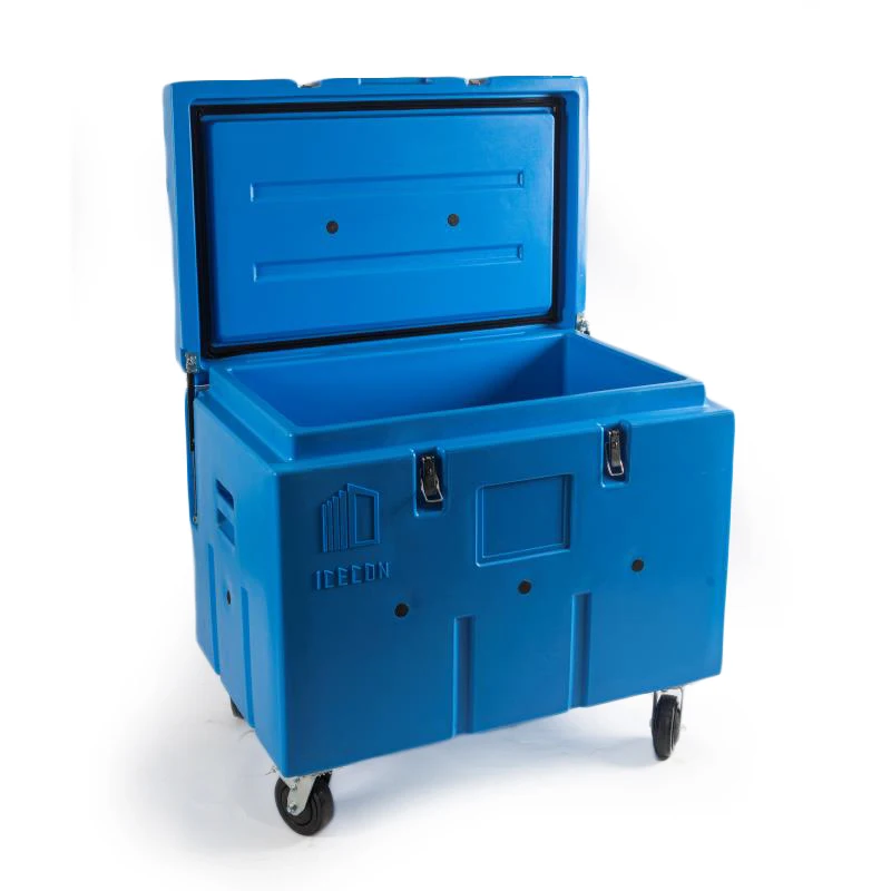30l Transport And Storage Of Dry Ice Container Antiuv Insulated Box