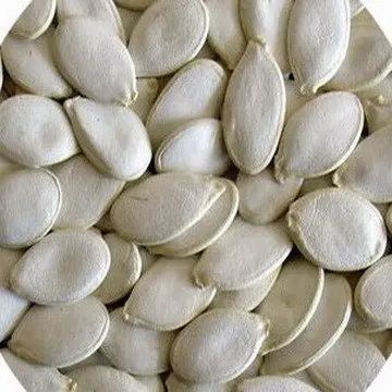 snow white pumpkin seeds(4).jpg