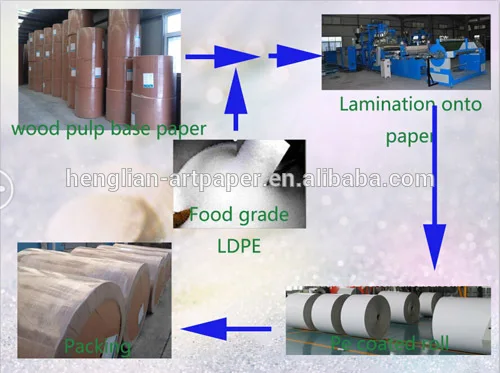 pe coated  process.jpg