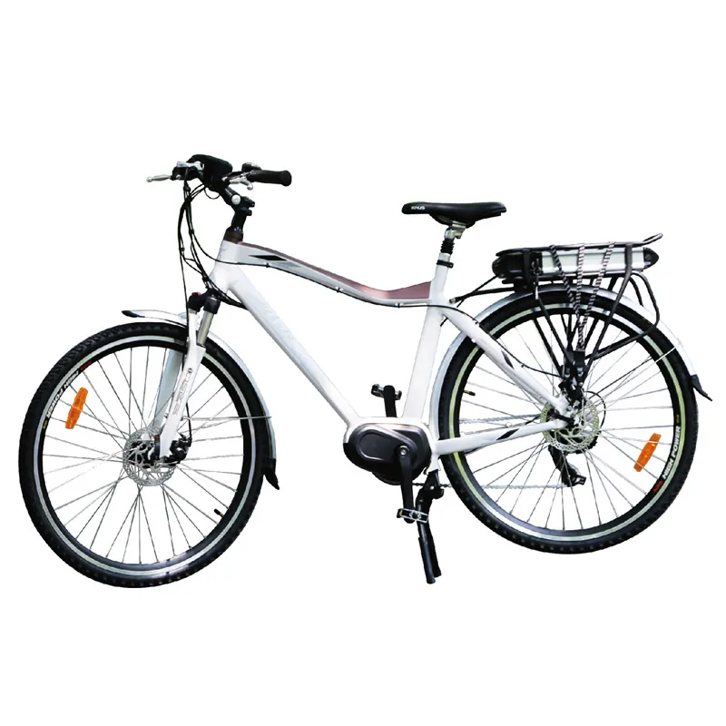 2 wheel drive electric bike