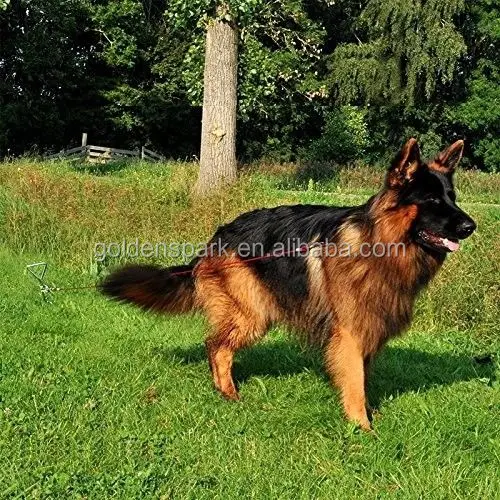 Metal Screwin Dog Lead Stake Screwin Ground Anchor For Dog Leads