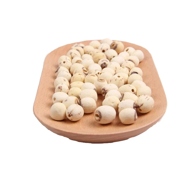 
Factory direct price lotus root seeds 