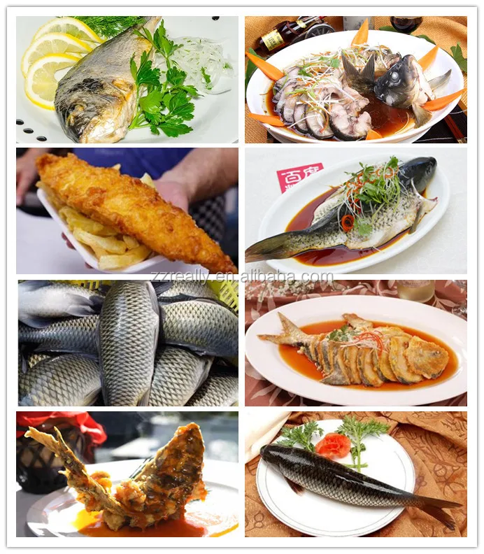 fish processing equipment/ fish scale remover/ fish scaling